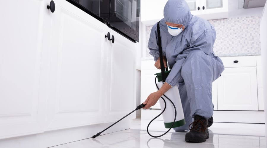 Professional residential pest control services in Midlothian